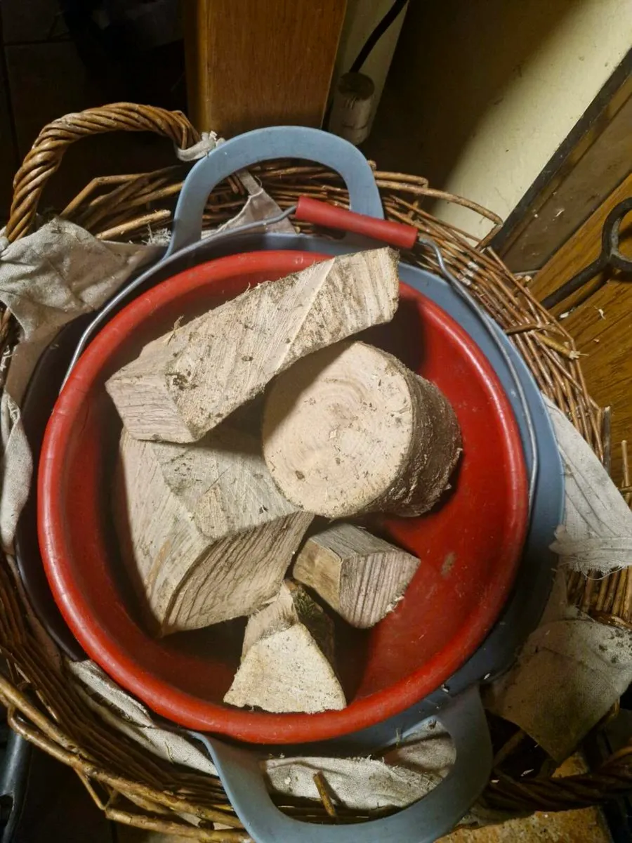 Firewood Hardwood Ash - Image 2