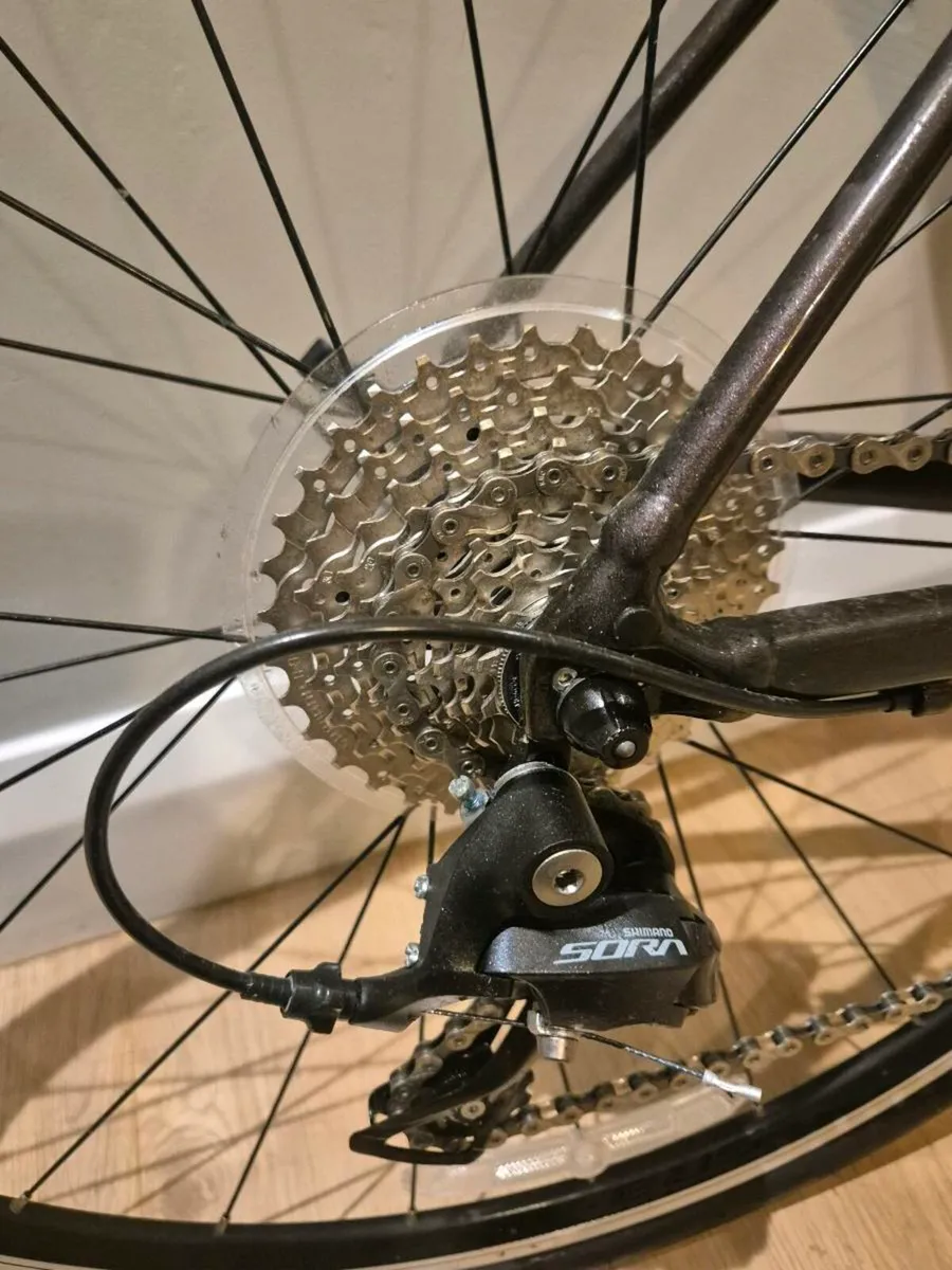 Giant contend 1 road bike maroon - Image 3