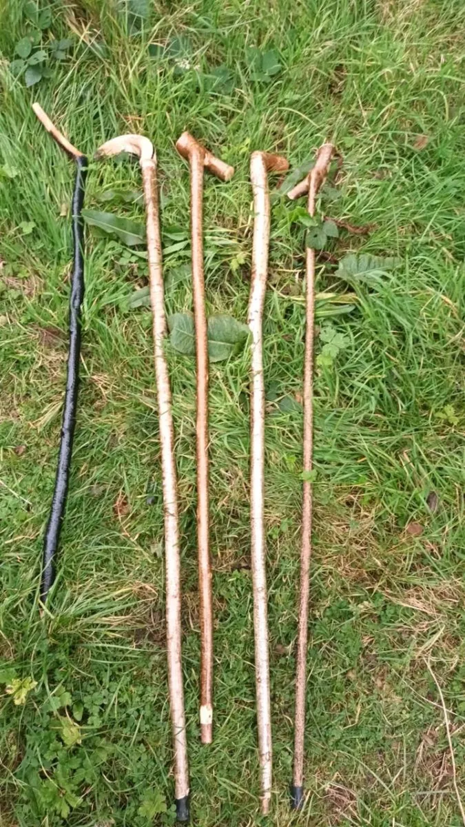 Walking stick - Image 1