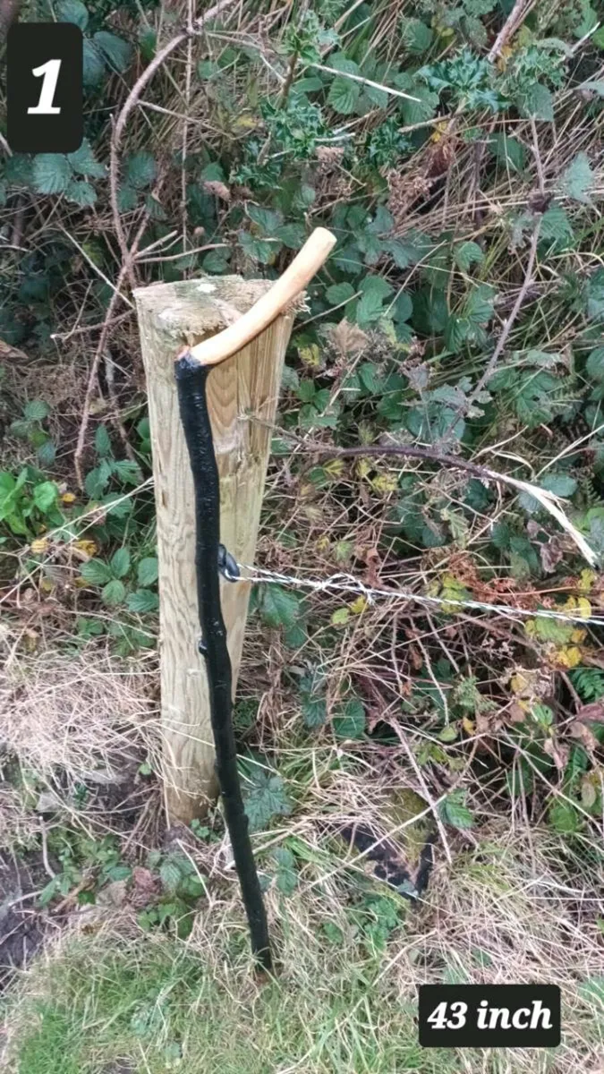 Walking stick - Image 2