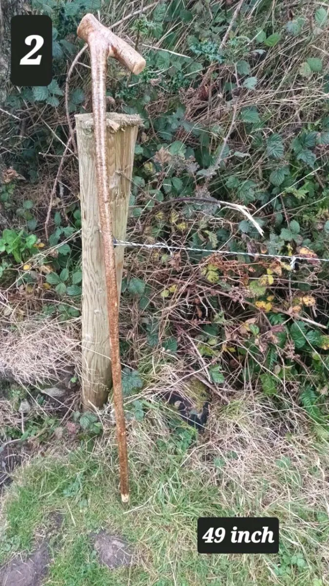 Walking stick - Image 3