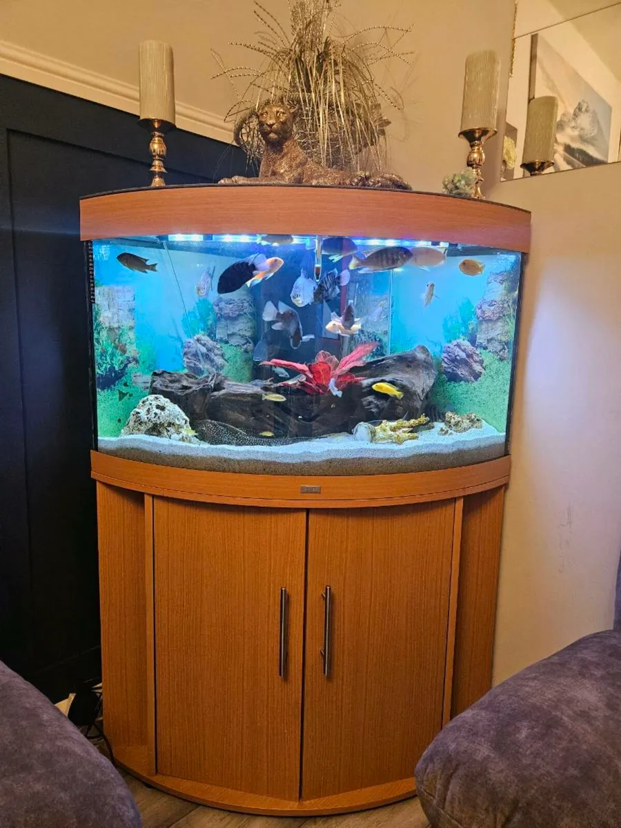 190l corner fish unit juvel - Image 1