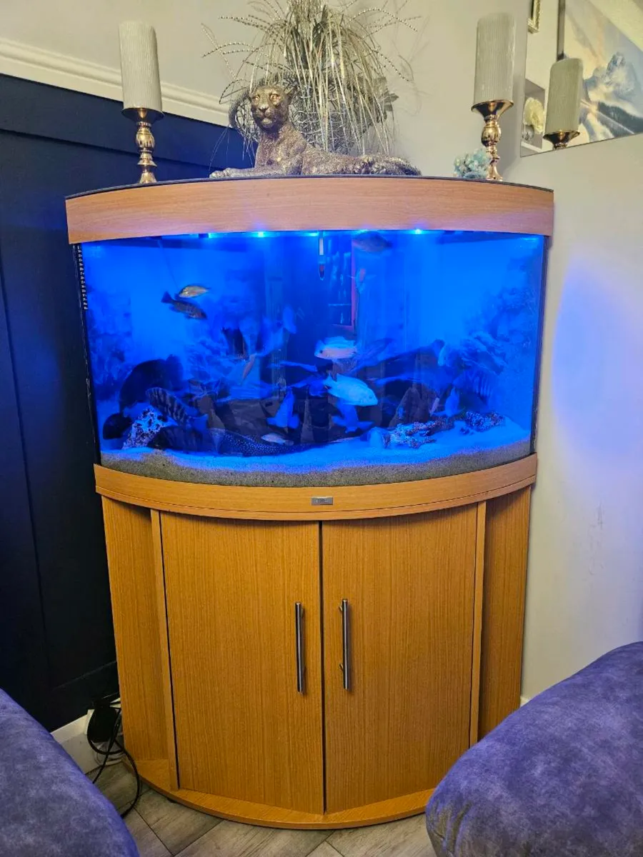 190l corner fish unit juvel - Image 2