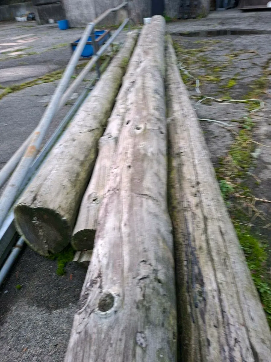 Esb poles - Image 3
