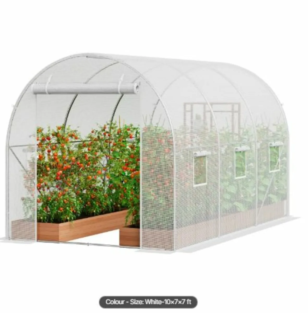 Walk-in Tunnel Greenhouse 2.9x2x1.9 m Galvanized - Image 1