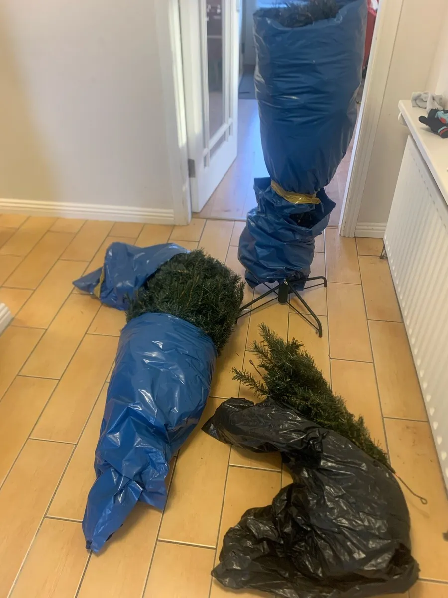 Christmas tree - Image 2