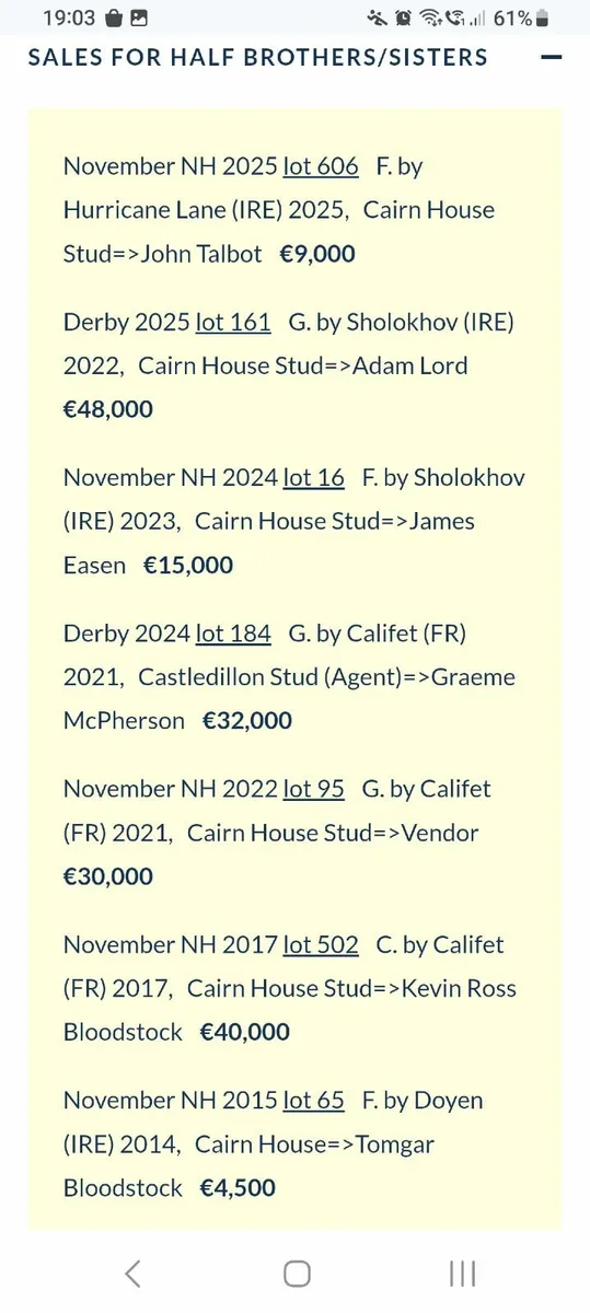 Thoroughbred broodmare - Image 4