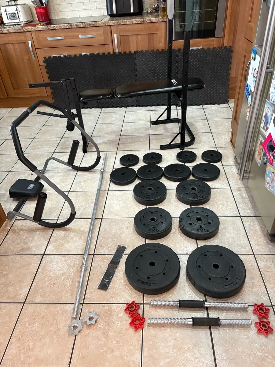 WEIGHT BENCH + LEF DEVELOPER, AB SYSTEM, WEIGHTS!! - Image 1