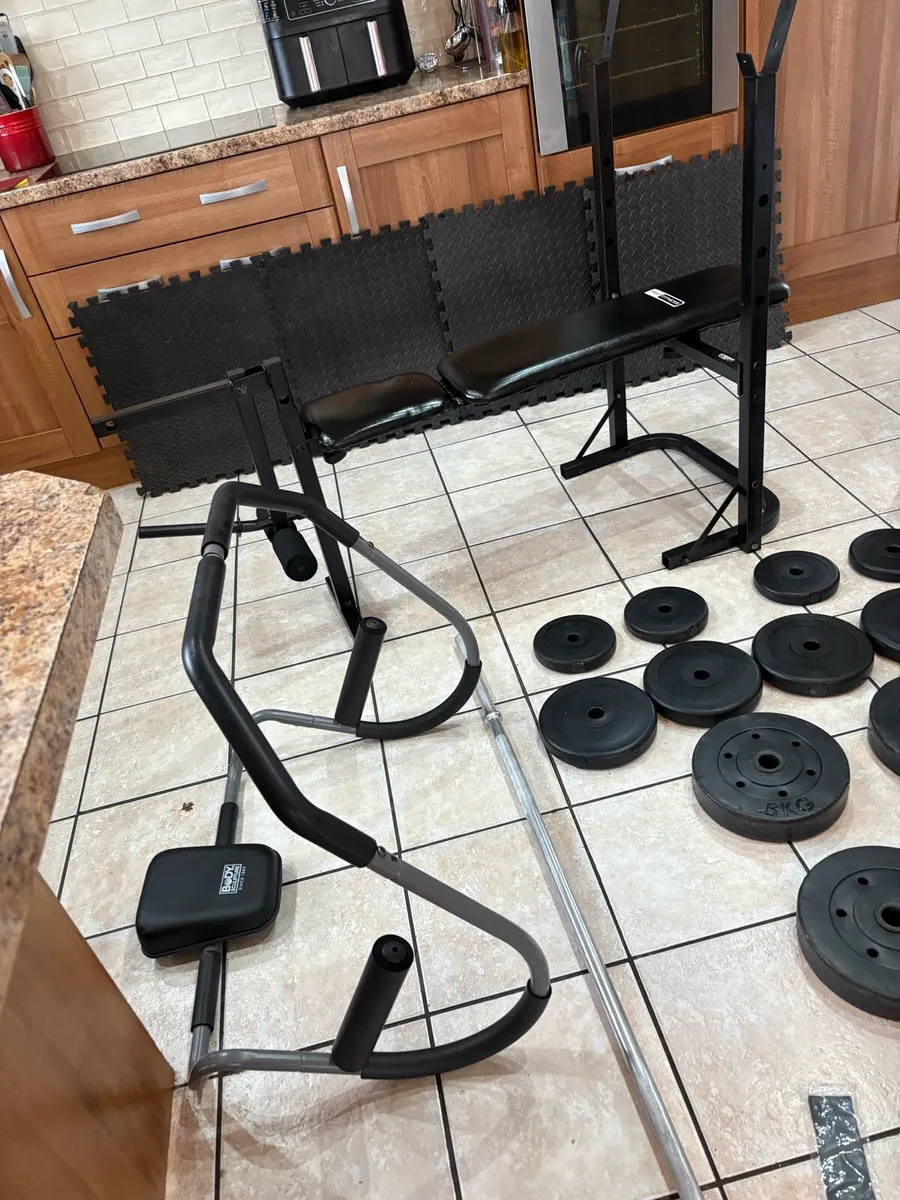 WEIGHT BENCH + LEF DEVELOPER, AB SYSTEM, WEIGHTS!! - Image 3