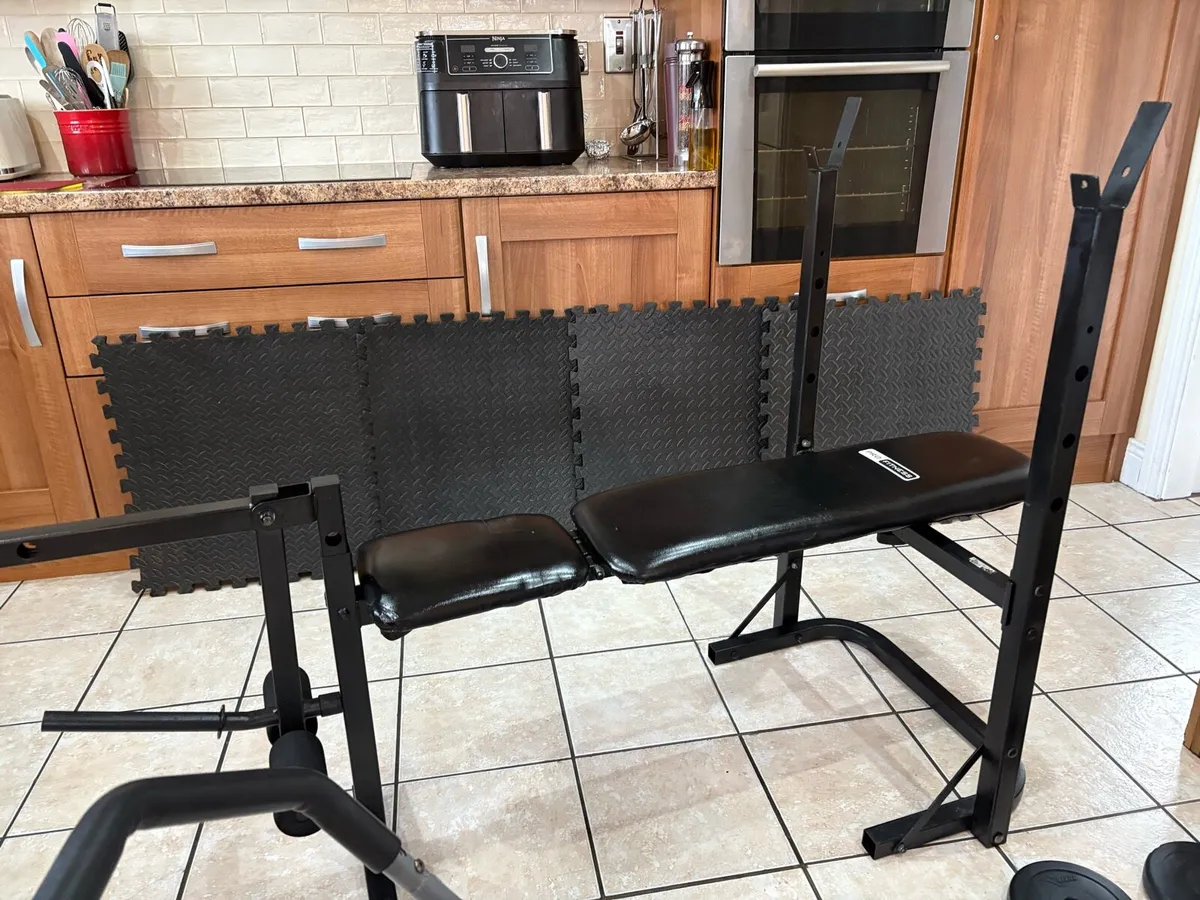 WEIGHT BENCH + LEF DEVELOPER, AB SYSTEM, WEIGHTS!! - Image 4