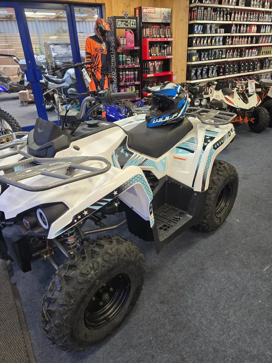 200CC Farm/Fun quad. ** NEW ** - Image 4