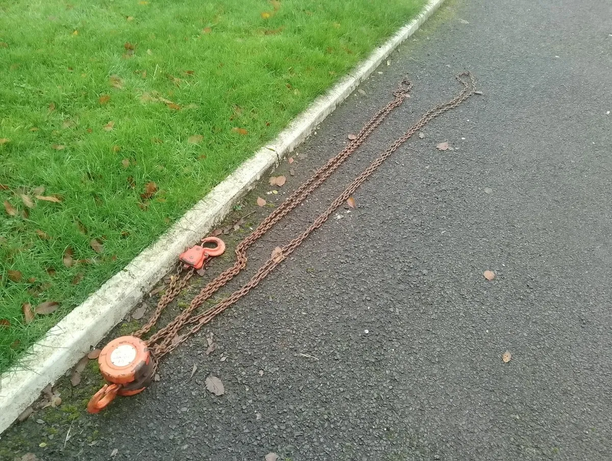 Chain Hoist - Image 4