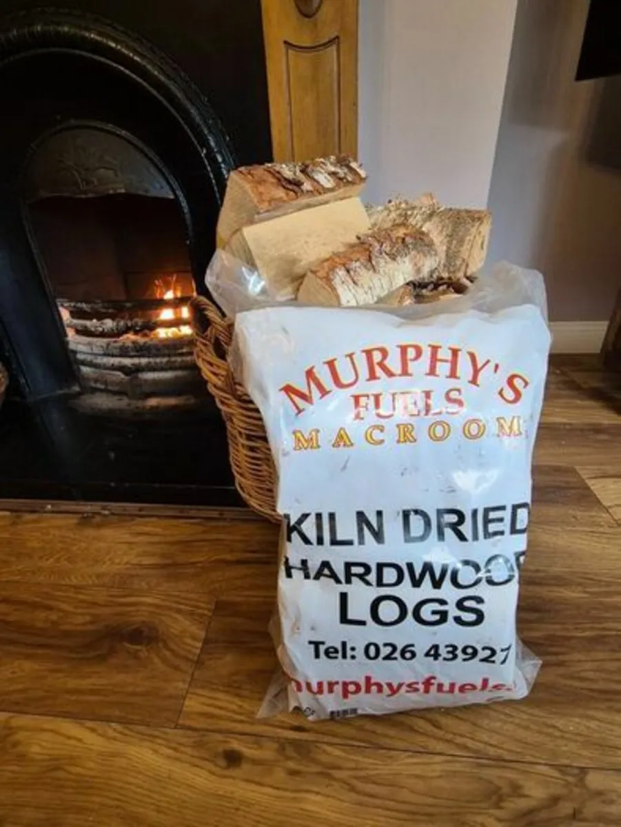 Kiln Dried Hardwood Birch Logs 10kg - Image 1