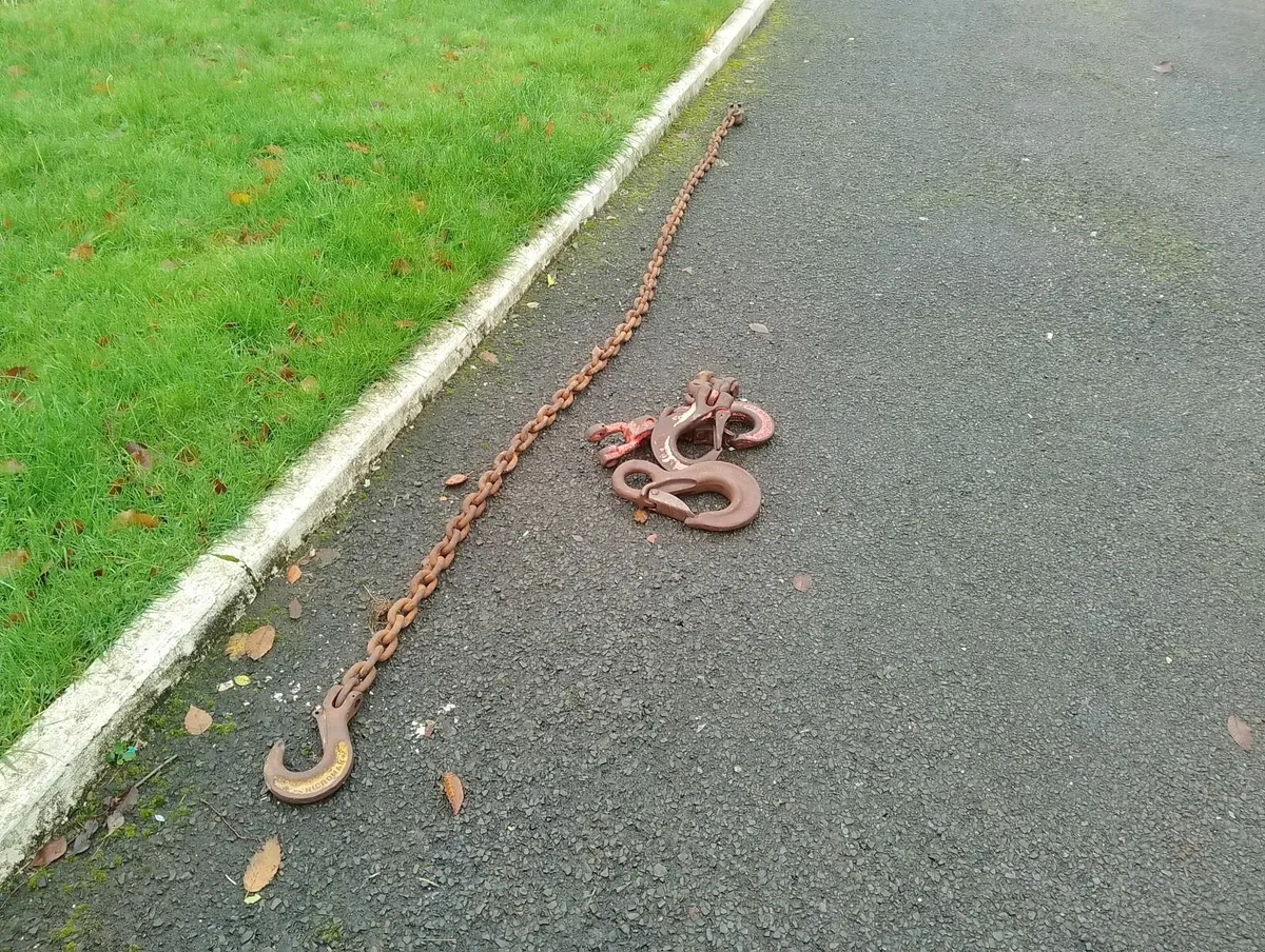 Chain and Hooks - Image 1