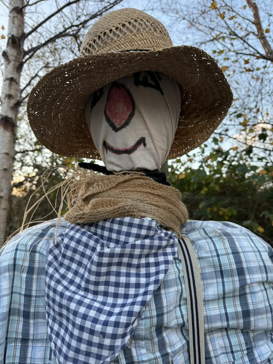 Scarecrow - Image 1