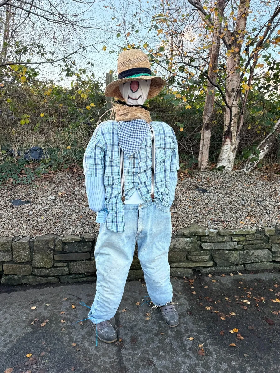 Scarecrow - Image 2