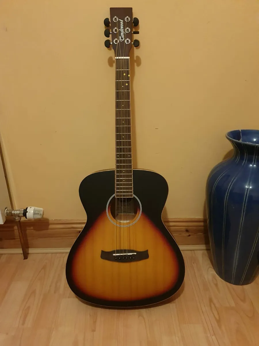 Guitars 3/4 and beginner - Image 2