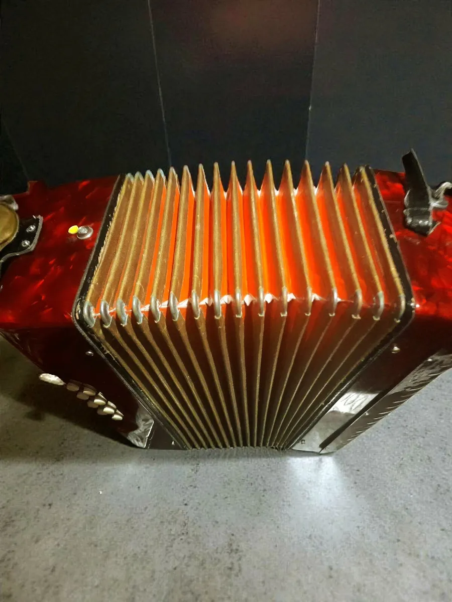 Accordion with case - Image 1