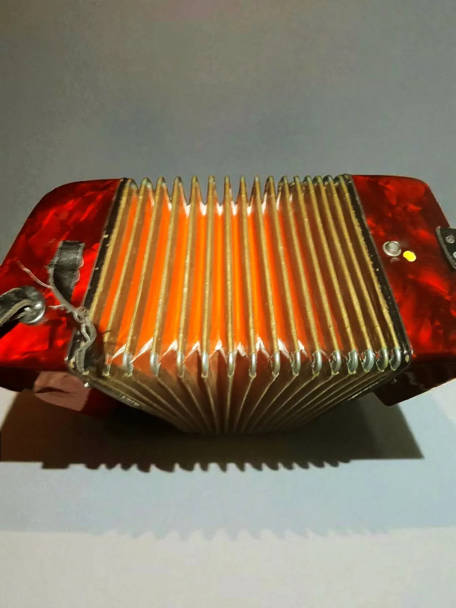 Accordion with case - Image 2