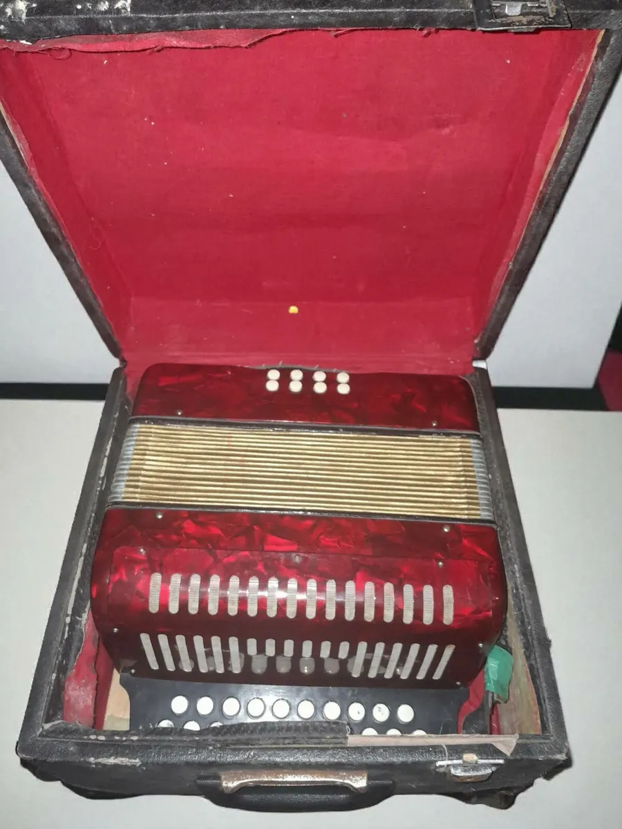 Accordion with case - Image 3