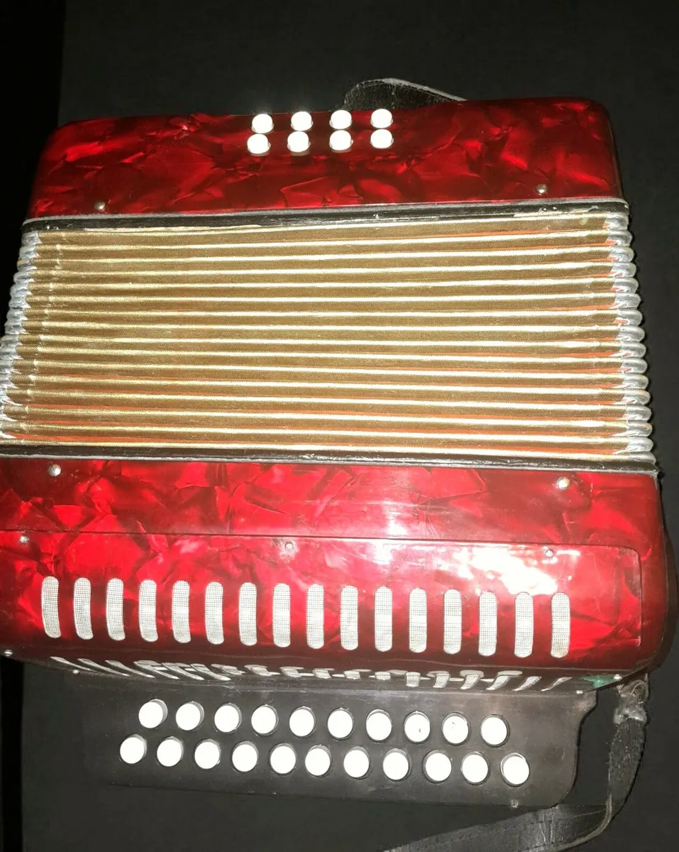 Accordion with case - Image 4