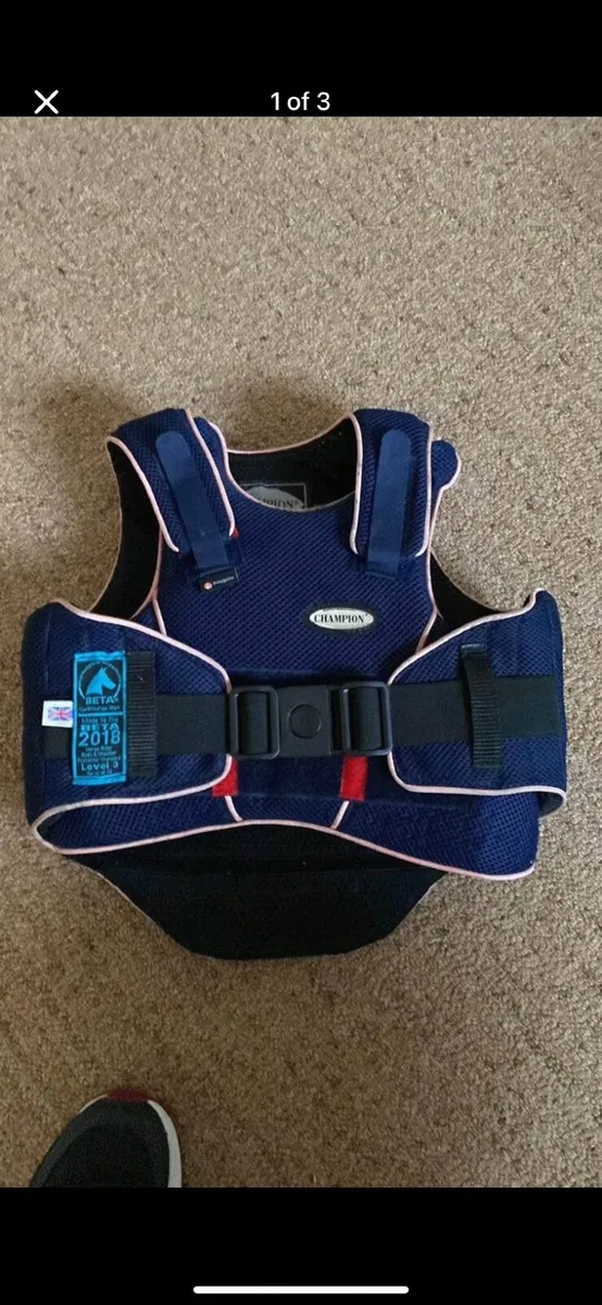 Back Protector - Image 1