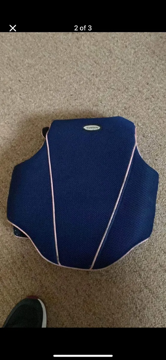 Back Protector - Image 2