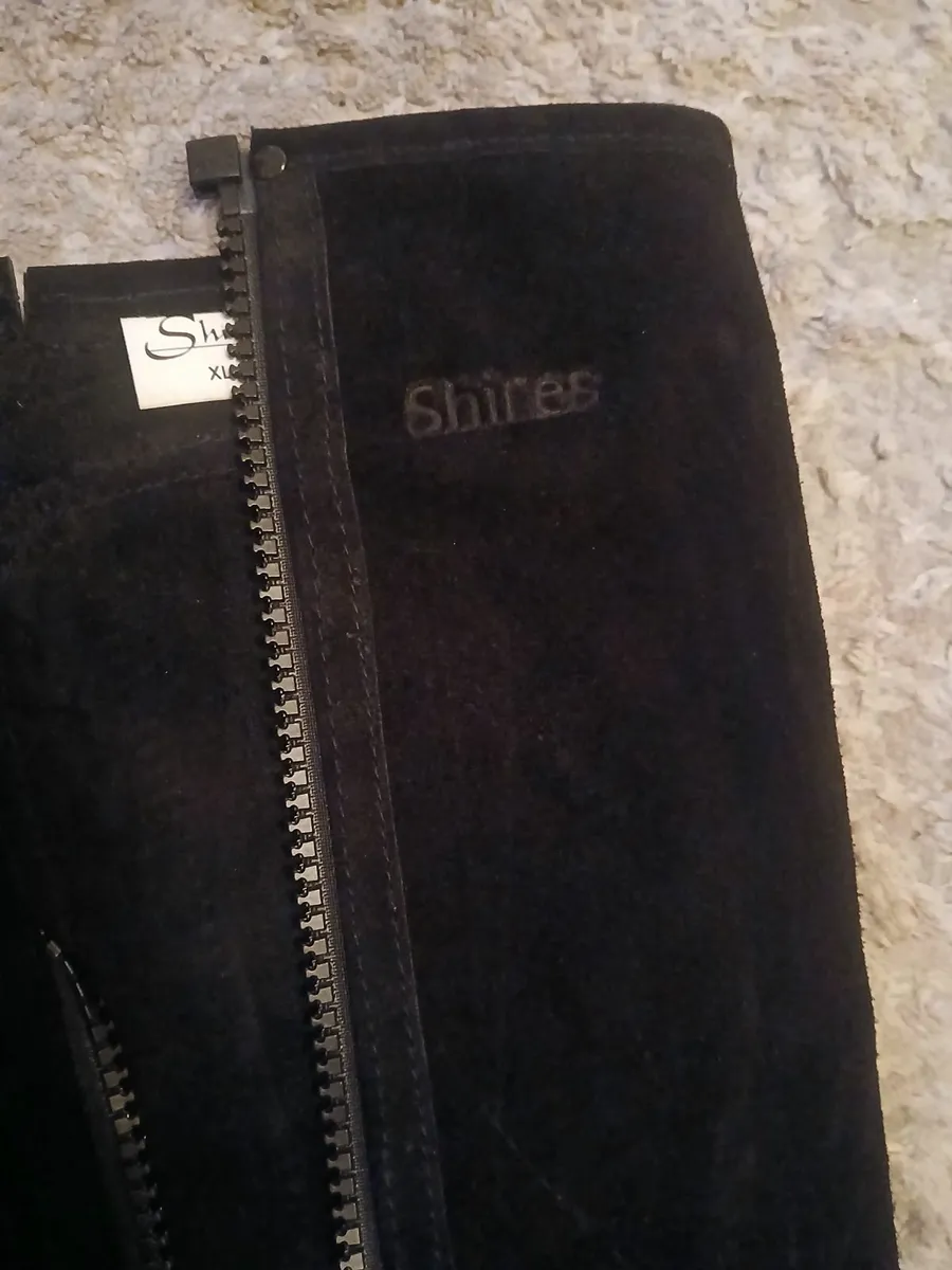 Horse riding - Image 3