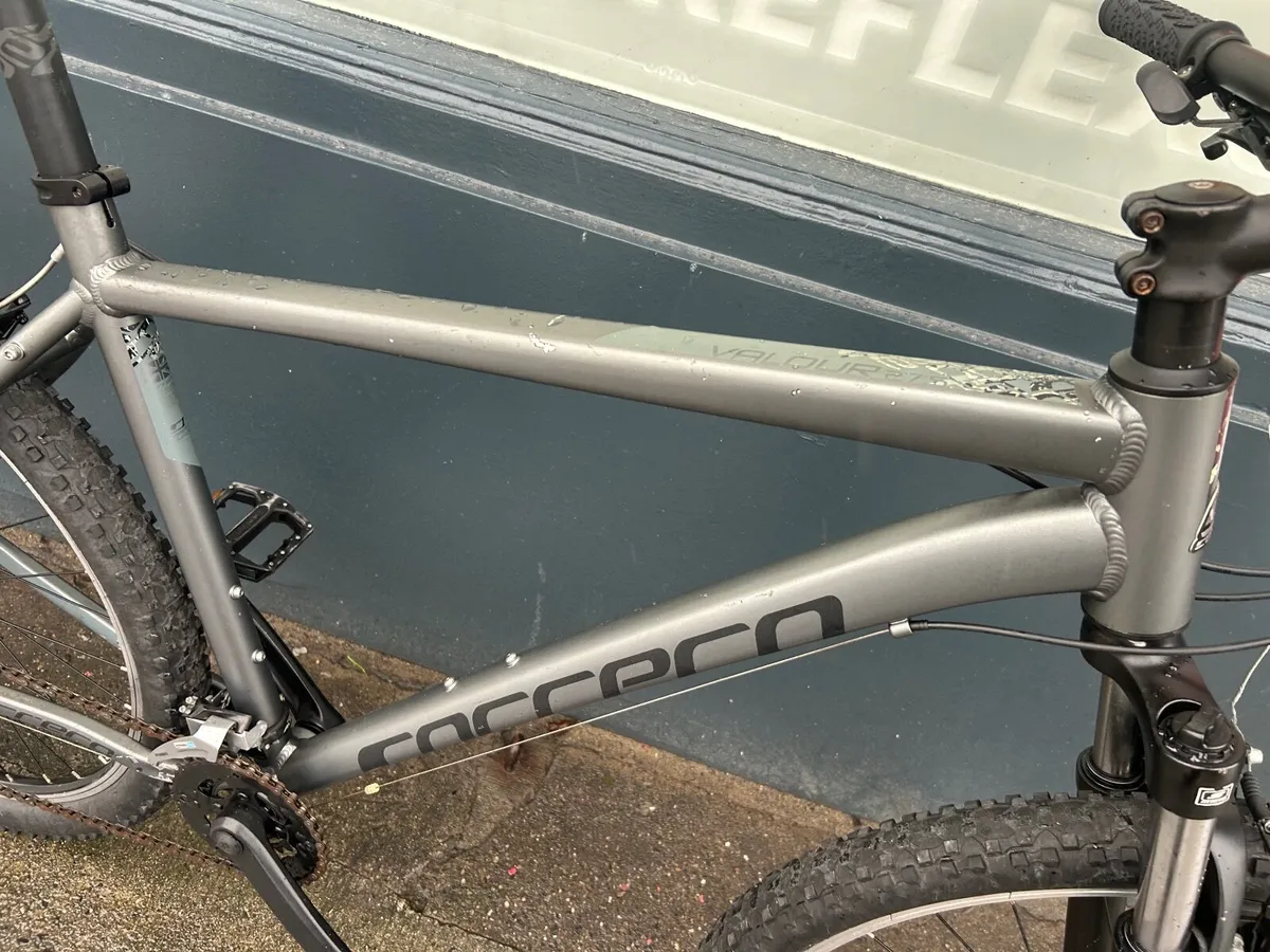 Bcarrera valour ❗️Open 7 days of the week ❗️ - Image 2