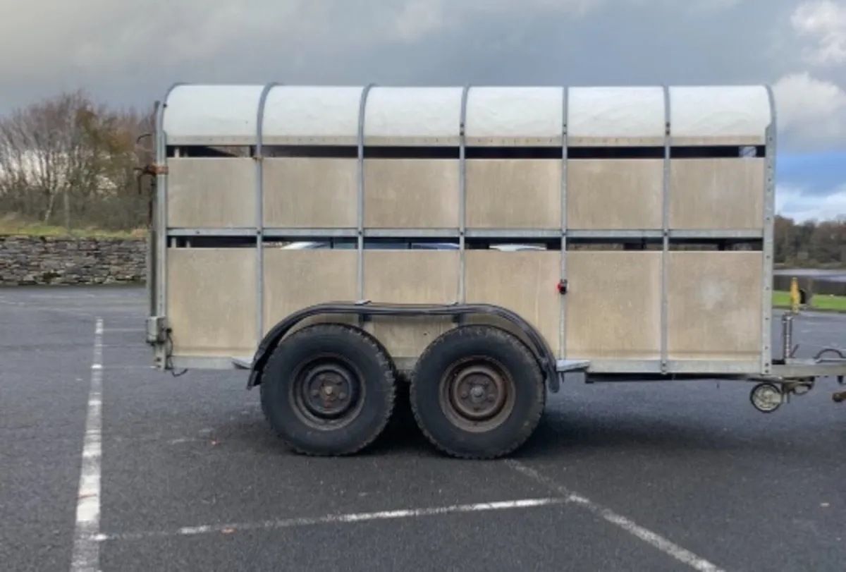 12 X 6 Nugent Cattle Trailer - Image 3