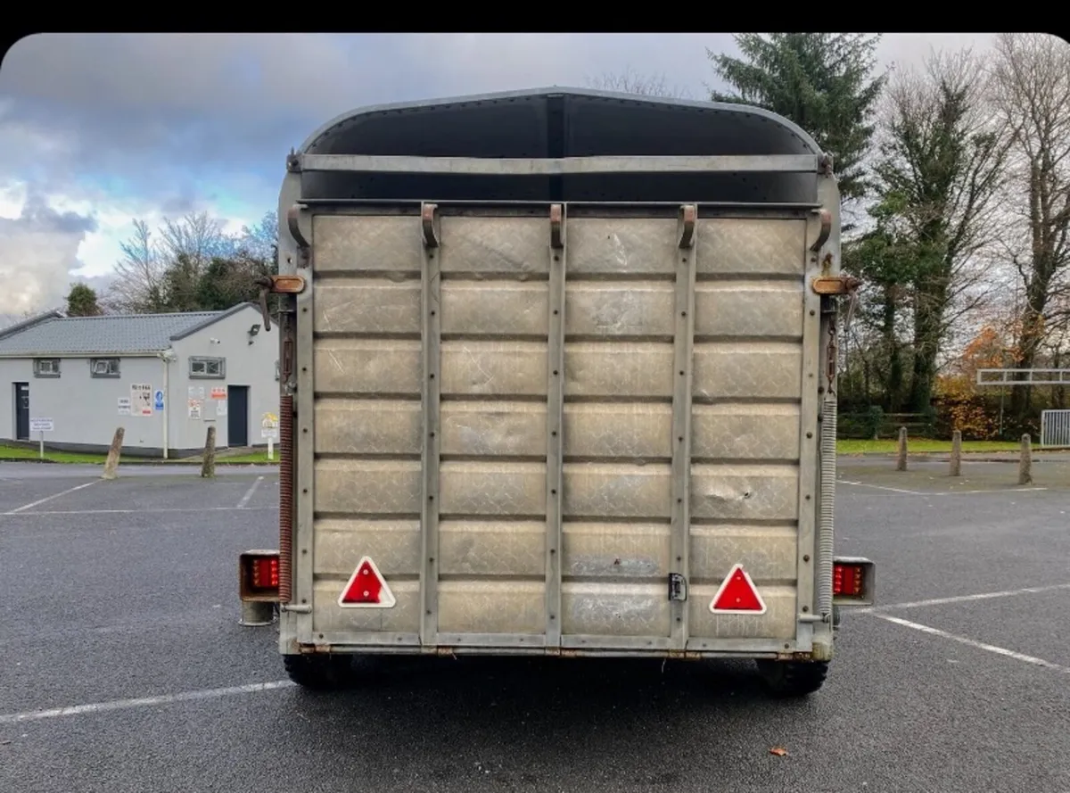 12 X 6 Nugent Cattle Trailer - Image 4