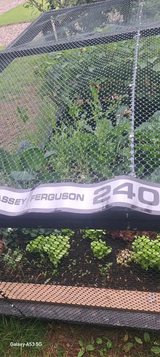 All massey  Ferguson  sticker  kits €40 each - Image 1