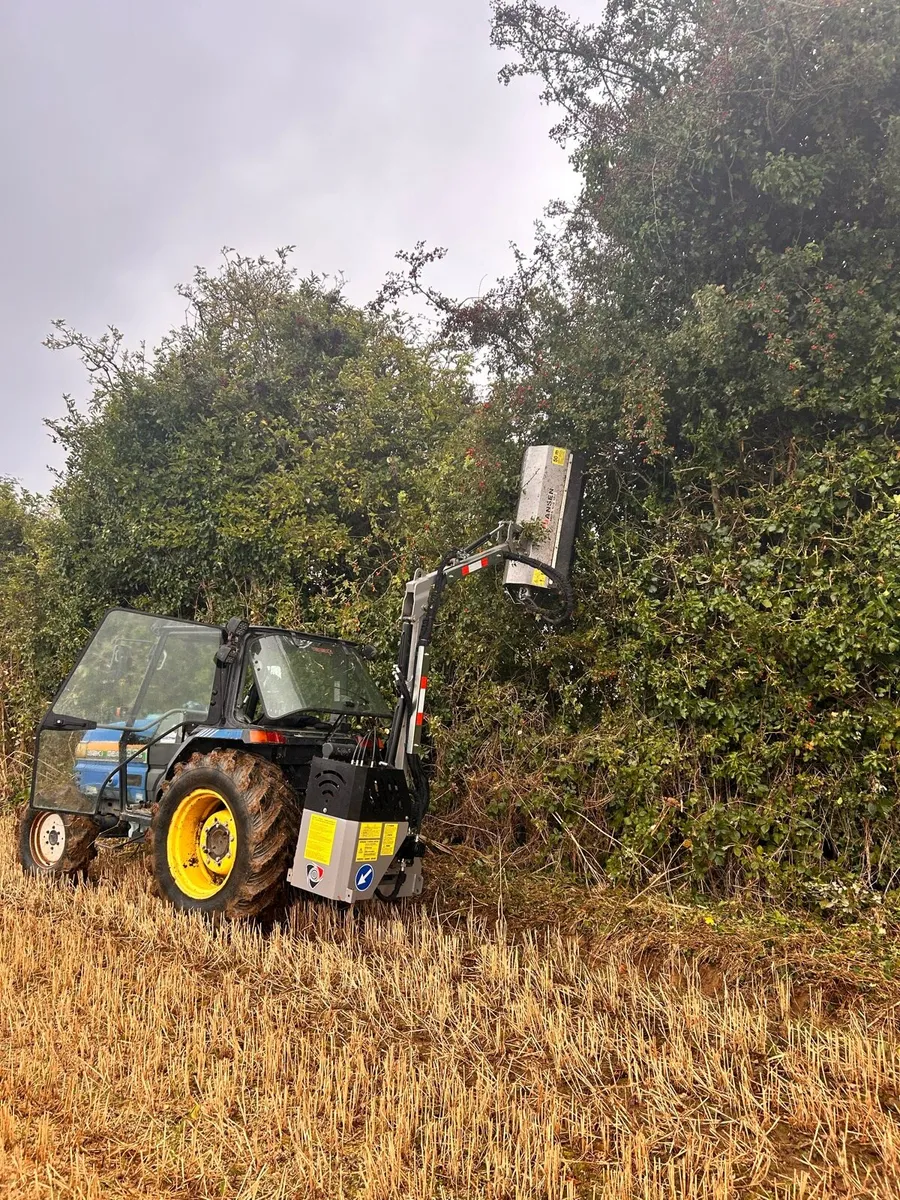 Hedge cutting - Image 1