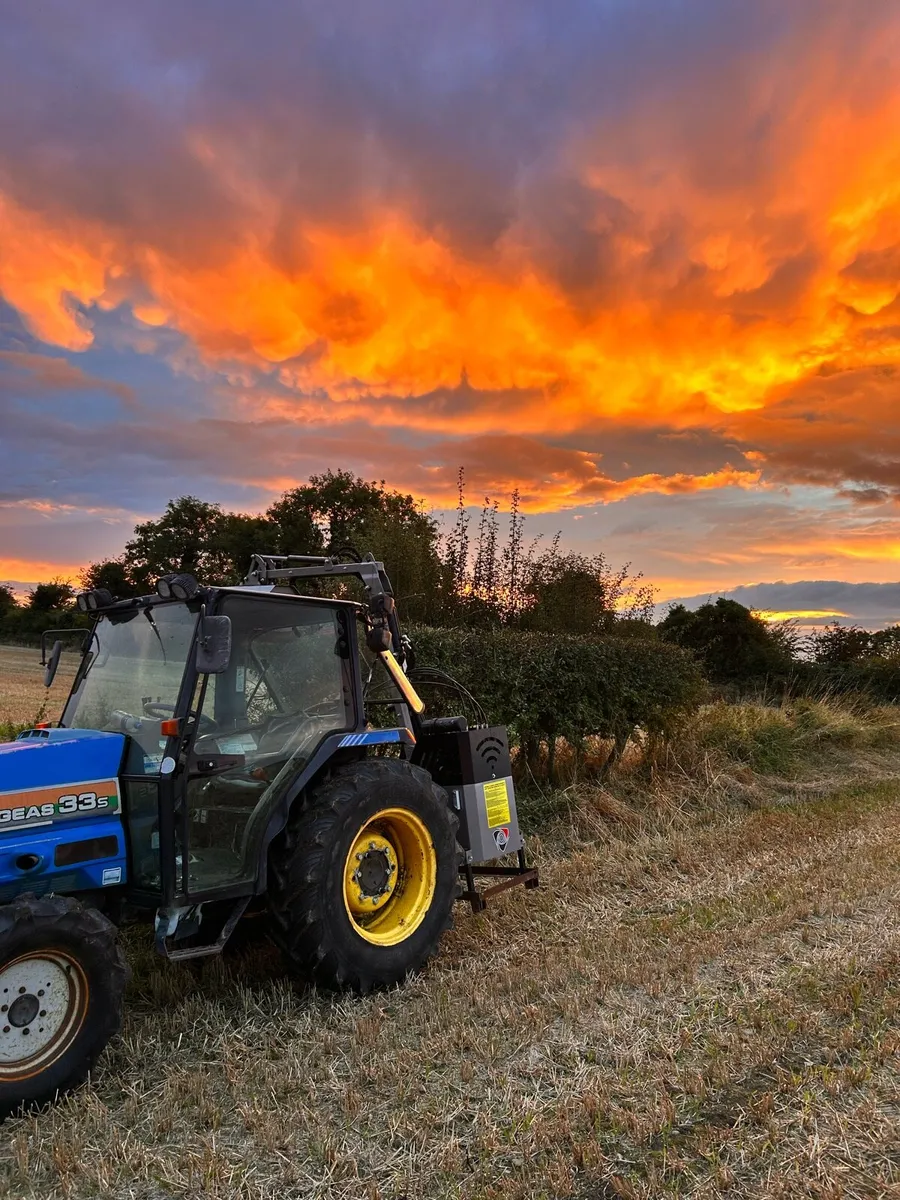 Hedge cutting - Image 2