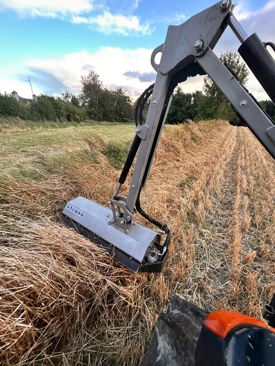 Hedge cutting - Image 3