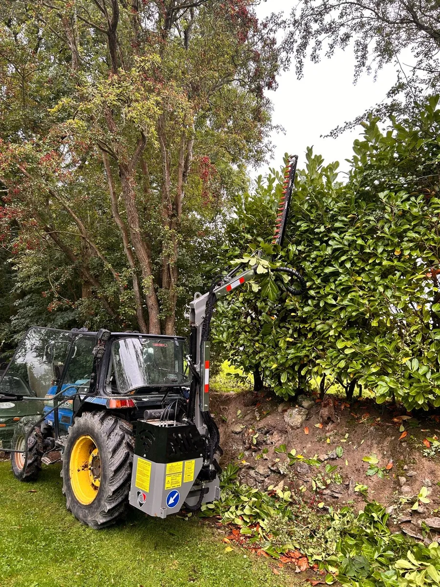 Hedge cutting - Image 4