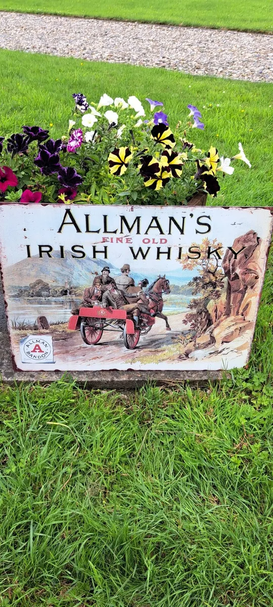 Large  allmans whiskey metal sign