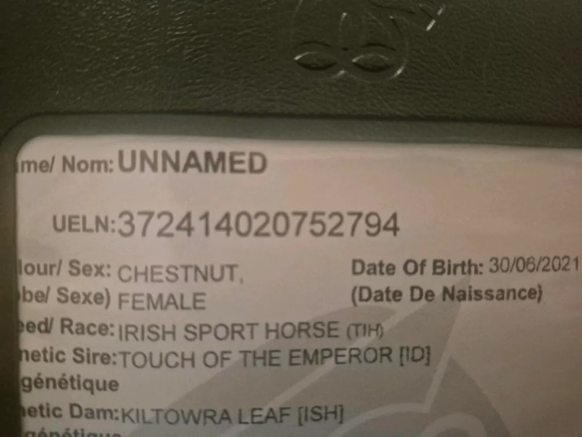 4yr Unbroken - Image 4