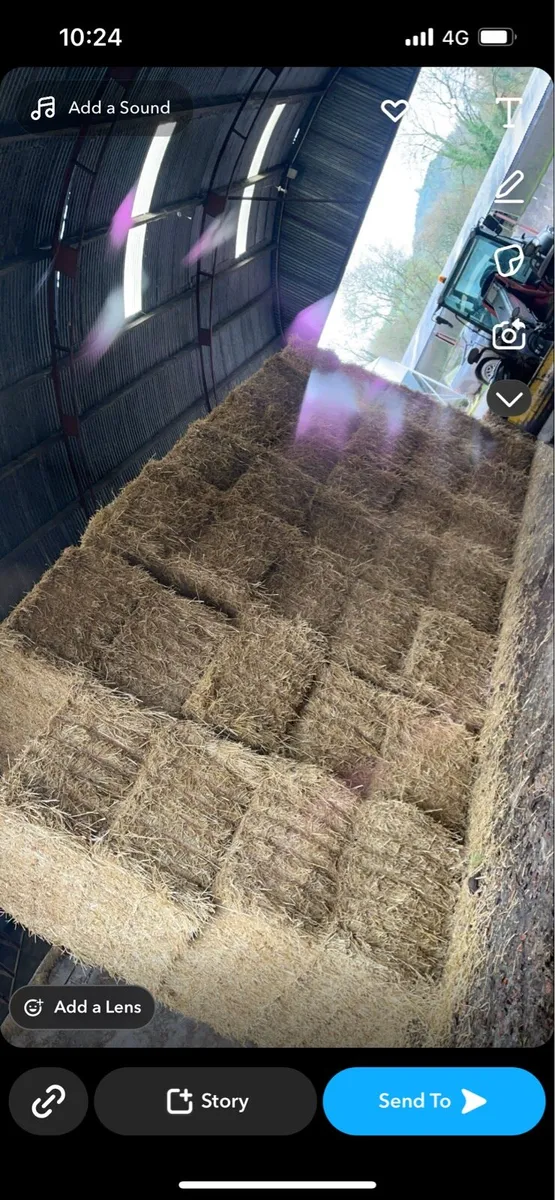 Second Quality Hay 8x4x3