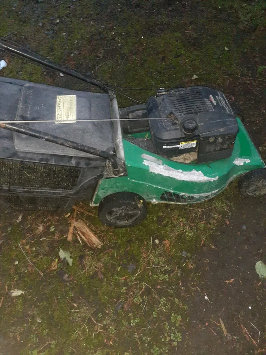 Lawnmower - Image 1