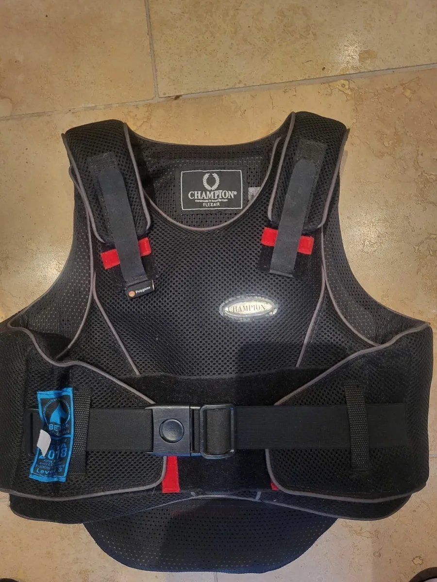 Horse riding back protector - Image 1