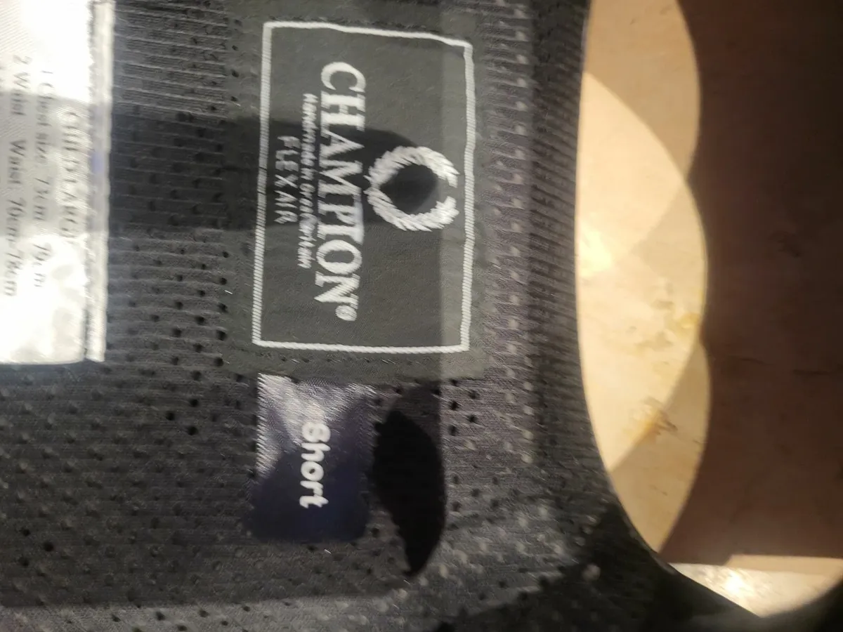 Horse riding back protector - Image 4