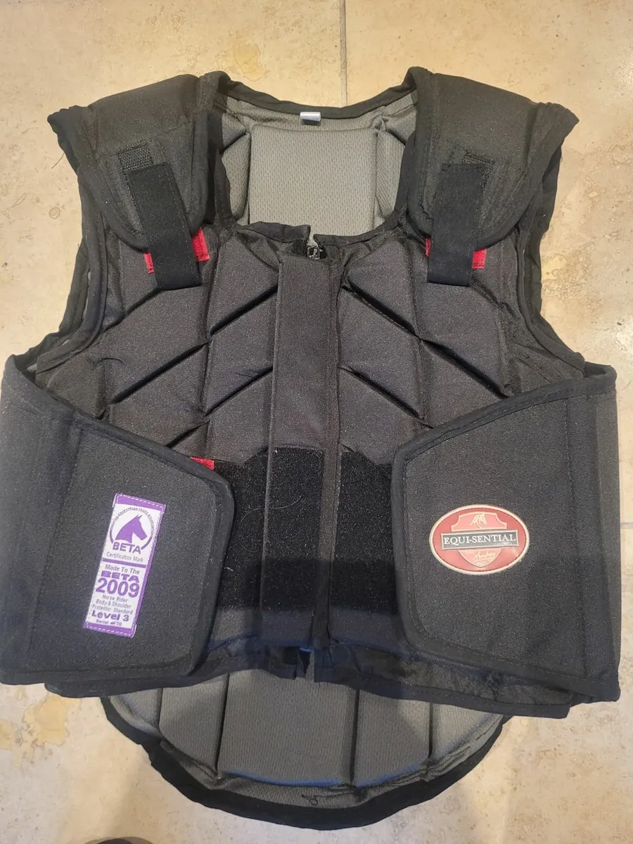 Horse riding back protector - Image 1