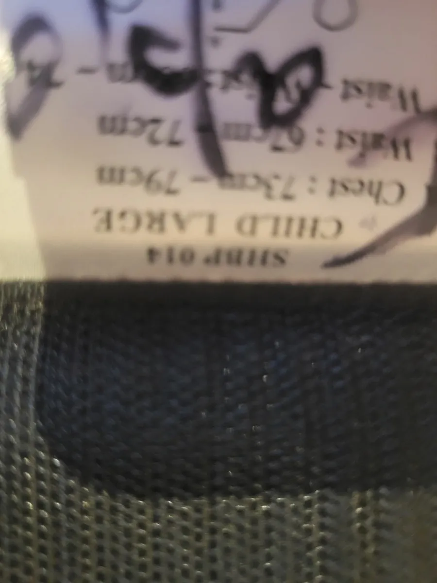 Horse riding back protector - Image 2