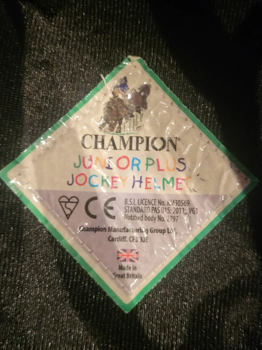 Horse riding helmet - Image 3