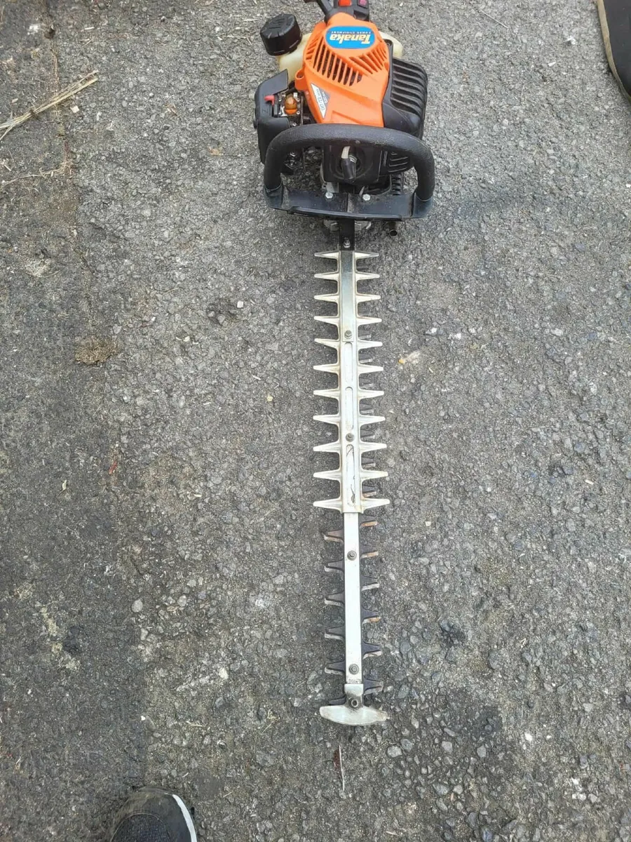 2021 tanaka THT hedge strummers running 💯 - Image 2