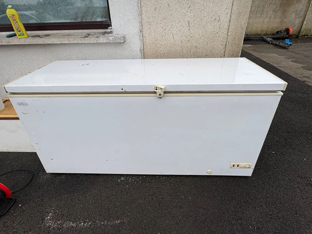 Large Freezer - Image 1