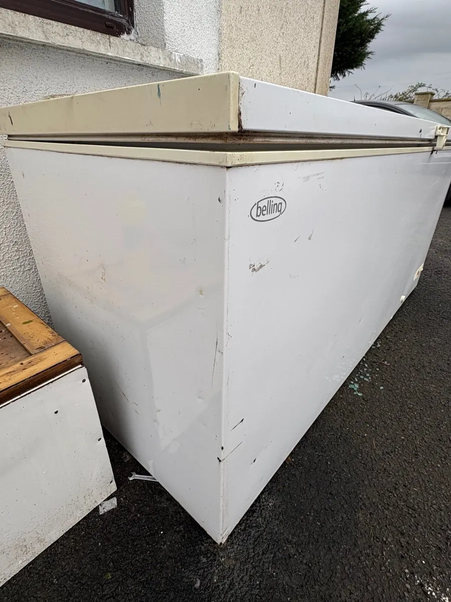 Large Freezer - Image 3