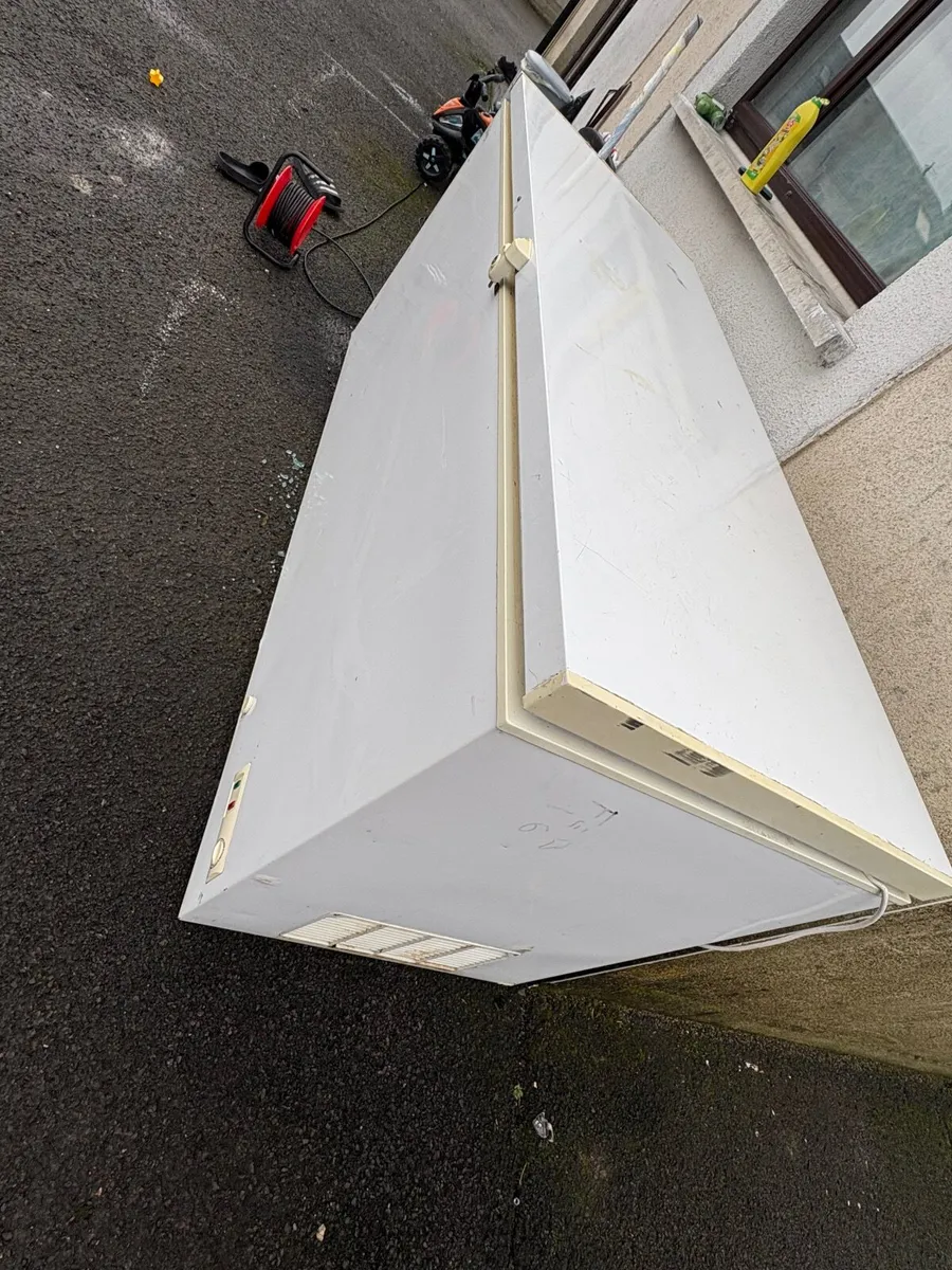 Large Freezer - Image 4