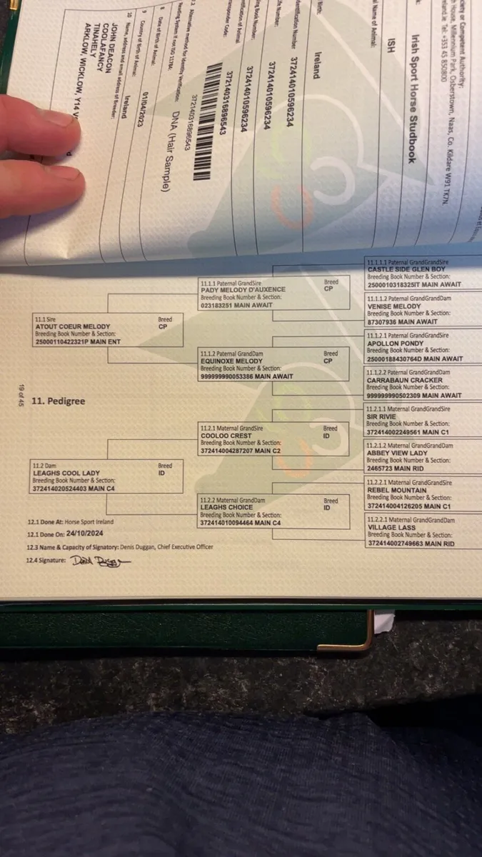 Connemara cross draught - Image 3